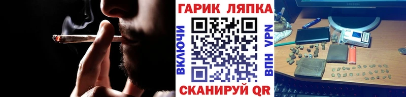 кракен вход  Кисловодск  Гашиш индика сатива 