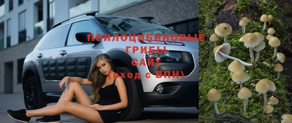 МДМА Заводоуковск