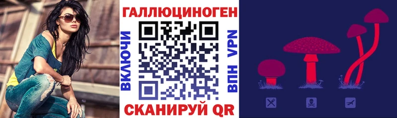 Псилоцибиновые грибы прущие грибы  магазин продажи наркотиков  Кисловодск 